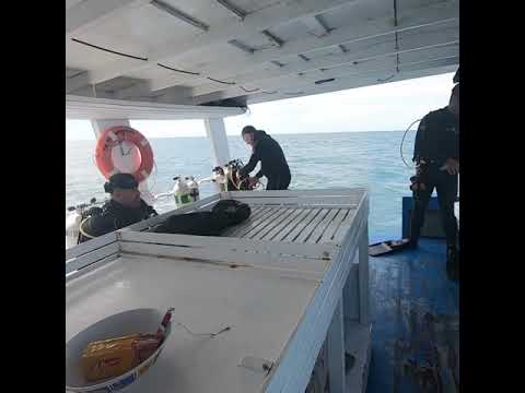 Baiuana Reef Guarapari - Dec/20/2019