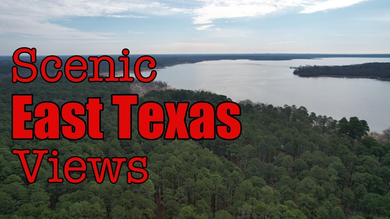 You asked me what I like about Texas