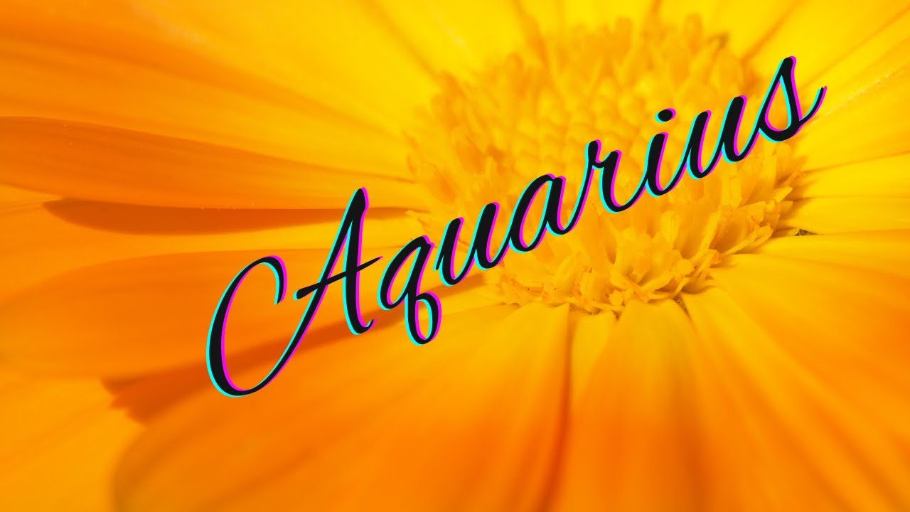 Aquarius💛Oh Wow! This Is Love At First Sight💛Singles/New Love