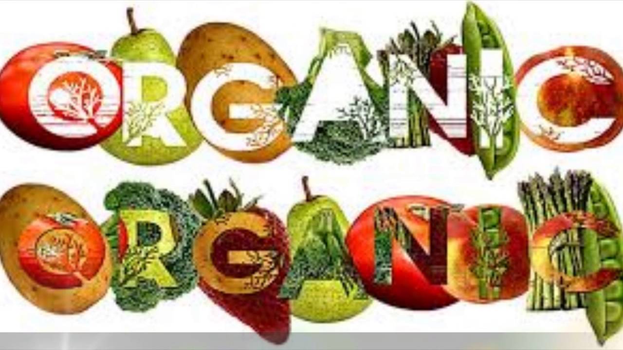 Organica Significado Organica Significado