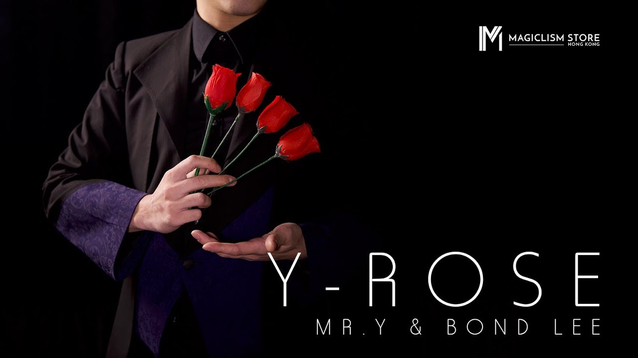 Y Rose by Mr. Y & Bond Lee - YouTube