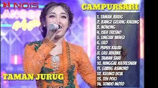 INTAN CHACHA - TAMAN JURUG | CAMPURSARI LANGGENG MUSIK DIGITAL 2023 @LanggengMusic