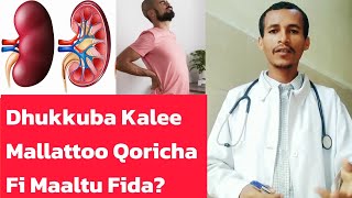 Dhukkuba Kalee Mallattoo Qoricha Furmaata Fi Maaltu Fidaa ? Afaan Oromo 2025