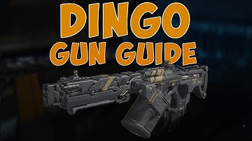 Dingo Gun Guide and Class Set-Up - Black Ops 3