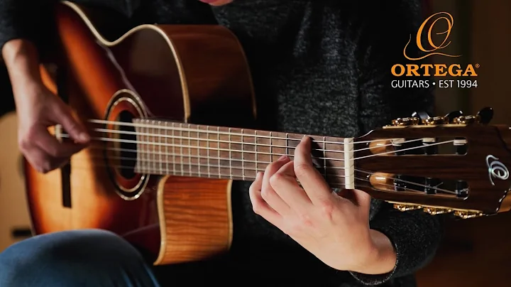 Plan B - Judith Beckedorf (original) - fingerstyle...