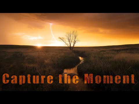 Moment, Movement and Energy // Bring Landscapes to life