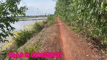 Cần bán nhanh DT 13 công giá 130 triệu 1 công thuộc huyện Thạnh hóa tỉnh Long An