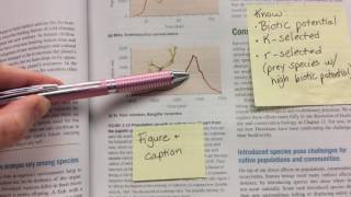 Chapter 3 Sticky Notes pgs 67-71 SA