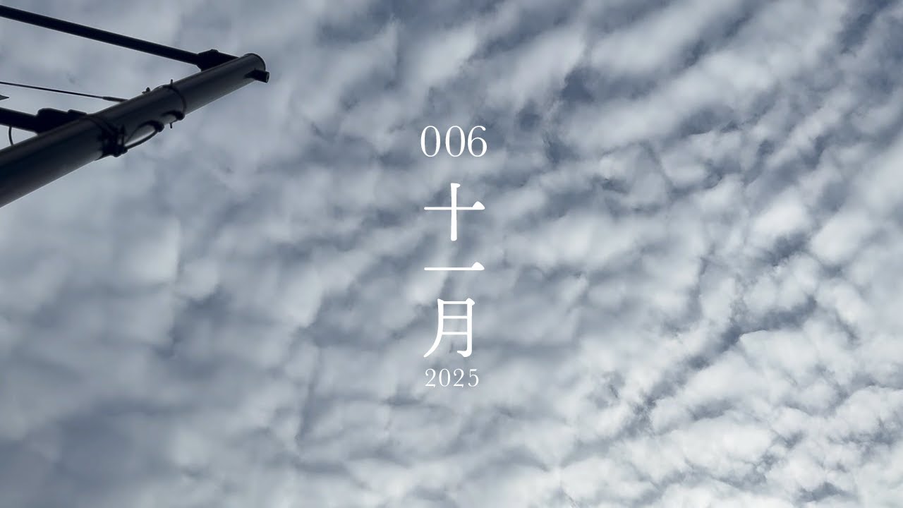 vlog｜いつもの暮らし、サルナシ、簡素な食事　一人暮らし　006