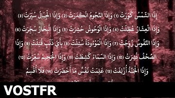 Sourate At-Takwir | Ach-Chatri (81) سورة التکویر | ابو بكر الشاطري