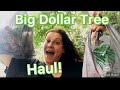 Big Dollar Tree Haul! 🛍June 4