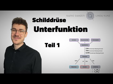 Video: Assoziation Zwischen Subklinischer Hypothyreose Und Depression: Eine Aktualisierte Systematische Überprüfung Und Metaanalyse