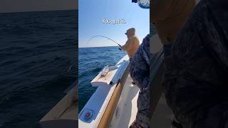 Jigs make Sea Bass fishing more fun! Fight &#39;em Sideways! #shorts #shortvideo #short #blackseabass