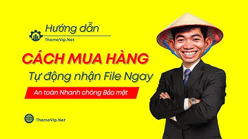 Hướng dẫn cách mua Source code mẫu website và theme plugin tự động tại Themevip