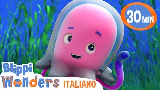 Nuoto delle meduse nell'oceano | Blippi in Italiano | Video educativi per bambini