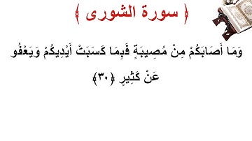 سورة الشورى الأية 30