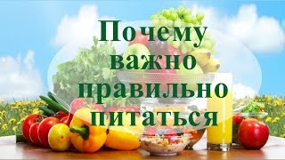 Почему важно правильно питаться Почему важно правильно питаться