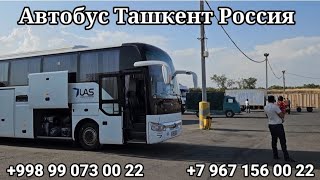 краснодар-ташкент автобус, москва-ташкент автобус, новосибирск-ташкент автобус, ташкент-краснодар