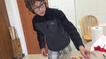 Integer Chips by Alex H (video 2) - 5th Period