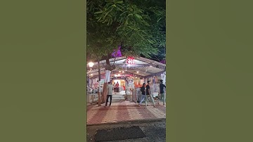 Jay maa mogal 🙏🙏 #mogal #bhaguda #bhagudadham #mataji #maa #trending #trending #vairal #reels