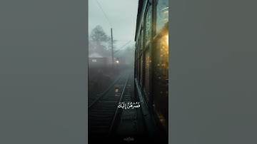 وإذ قال ابراهيم ربي ارني كيف تحيي الموتى/ القارئ عبدالرحمن مسعد #قرآن