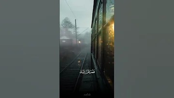 وإذ قال ابراهيم ربي ارني كيف تحيي الموتى القارئ عبدالرحمن مسعد قرآن 