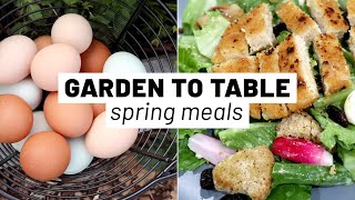 Easy, healthy meals from the spring garden | Farm to Table | GroundedHavenHomestead