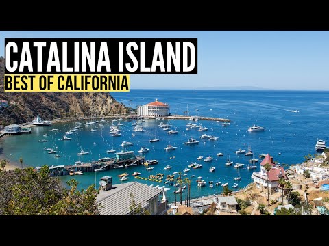 Things To Do in CATALINA ISLAND California (Travel Guide & Vlog)