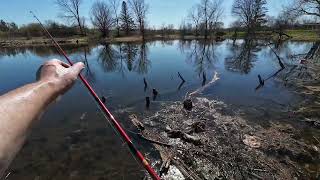 Fishing a small pond for Bass/Bluegill??