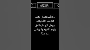 "🌿 سورة البقرة - الآية 282 | نور الهداية بصوت الشيخ ياسر الدوسري 📖"