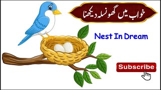 Nest In Dream || khwab mein Ghonsla dekhna || خواب میں گھونسلہ دیکھنے کی تعبیر