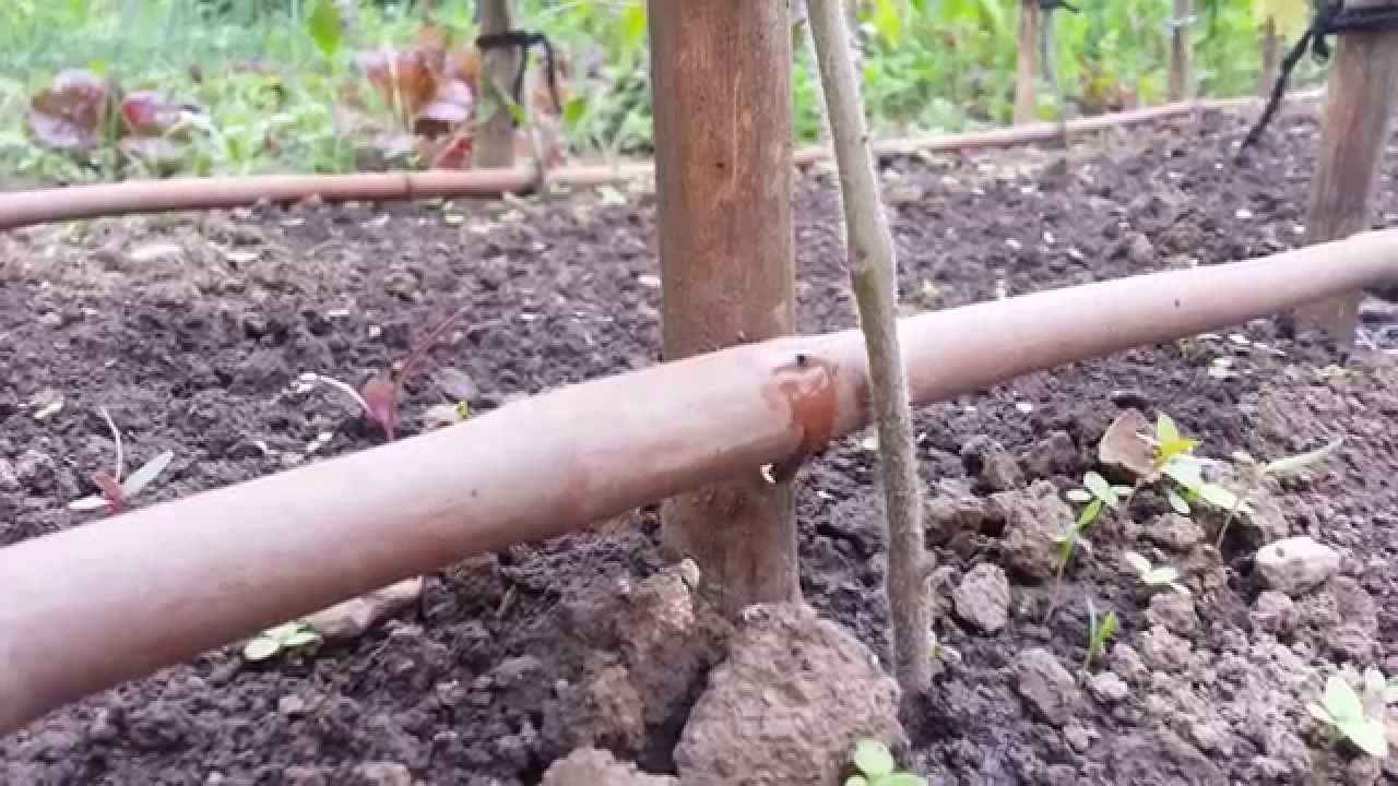 Sistem De Irigare Cu Picatura Youtube