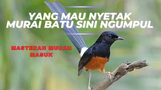 SUARA PENCETAK MURAI BATU