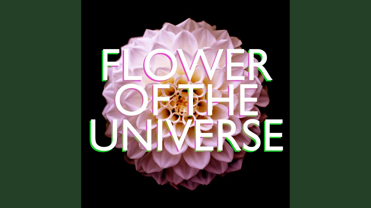 Flower of the Universe (Originally Performed by Sade) (Instrumental