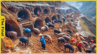 How Chinese Dig Caves to Raise Black Pigs in the Mountains | Food Factory