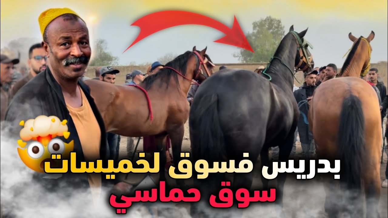 سوق الخميسات حماسي وبادريس عندو المليح💯🥇