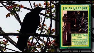 Two Poe Tales: Blackwood Article & A Predicament - Edgar Allan Poe by SunRiseProductions 121 views 1 year ago 59 minutes