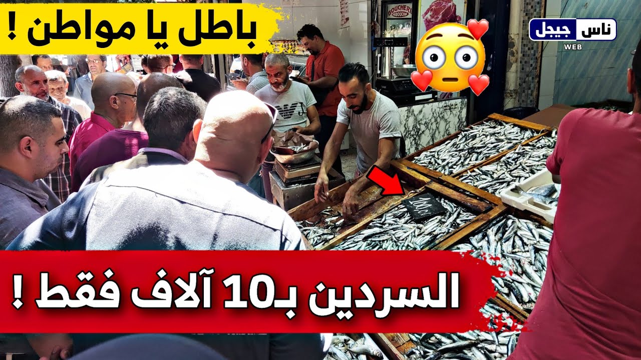 لأول مرة منذ سنين .. السردين بـ100دج فقط بسوق جيجل