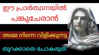 തുറക്കാതെ പോകരുത് l miraculous marian prayer l Kreupasanam powerful prayer