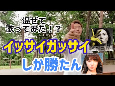 【日向坂46×KREVA】君しか勝たん × イッサイガッサイ 〜 イッサイガッサイしか勝たん〜  で歌ってみたww