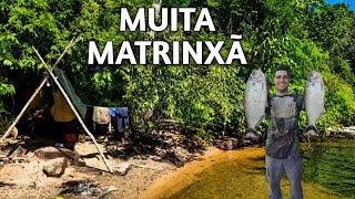 ACAMPAMENTO 🏕 SOZINHO NA MATA!! Fogão No Toco No Meio da Água. 