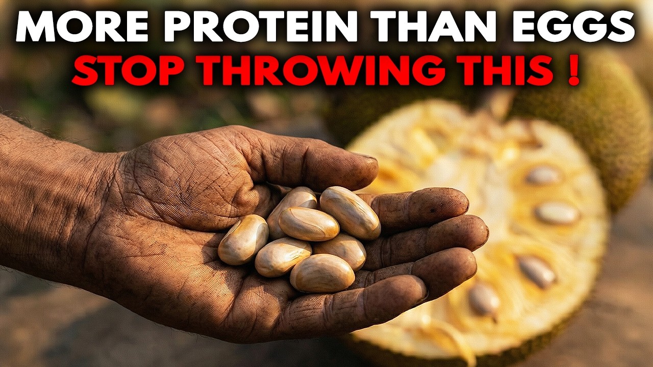 В семенах этого фрукта больше белка, чем в яйцах, но все их выбрасывают.