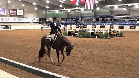 Walkable - NSBA World Champion: Sold to Amy Hassin...