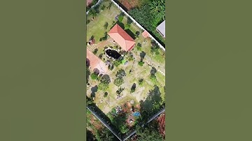 Cần Tiền Xoay Sở Công Việc A Hải Cần Nhượng Lại Khu Nhà Vườn Đẹp Như Mơ Có Thổ Cư #shorts #ductaibds