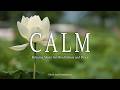Calm Zen Ambient Relaxing Music For Mindfulness And Sleep mp3