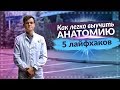 КАК СДАТЬ АНАТОМИЮ НА 100%