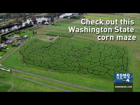 Video: Seattle Corn Mazes և Pumpkin Patches