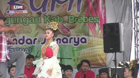 JAIPONG BUDAYA SENI SUNDA - RAJANYA JAIPONG