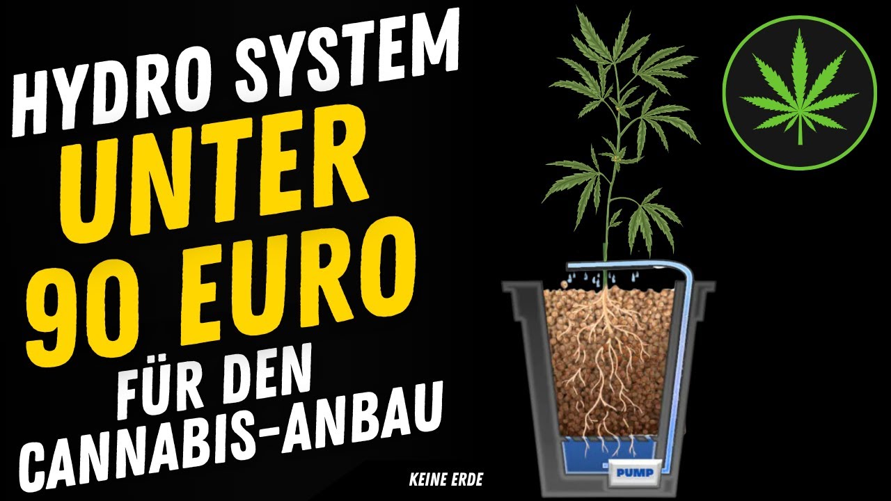 GROW Dünger Crazy Hills | Stecklinge vermehren im Hydrosystem | Hydrogrow | Habibi Board | Grownews