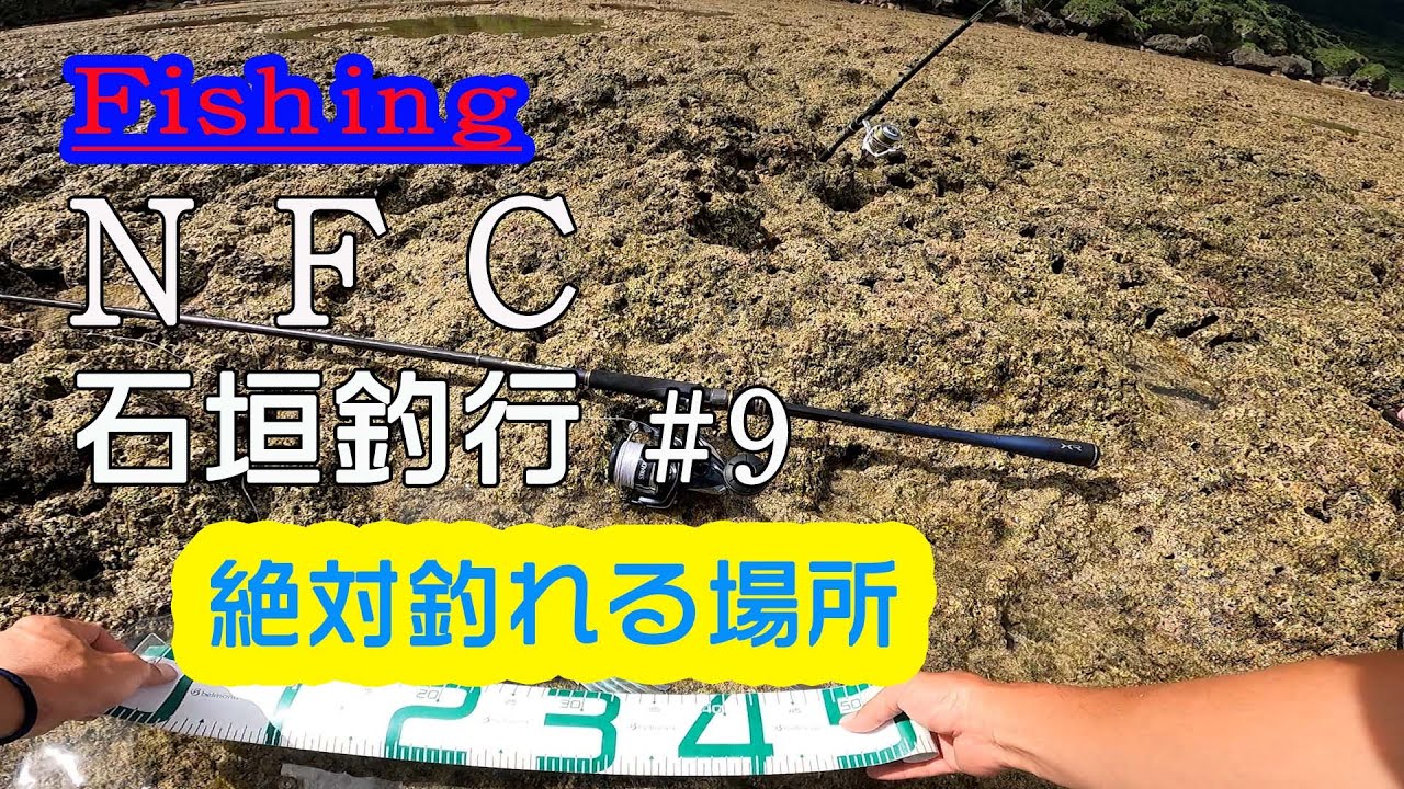 [Fishing] 石垣釣行 #9 NFC「絶対釣れる場所」